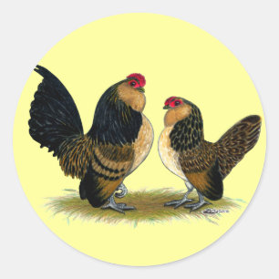Belgische d'Anvers Bantams: Kwartel Ronde Sticker