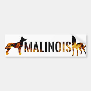 Belgische herder - Malinois Bumpersticker