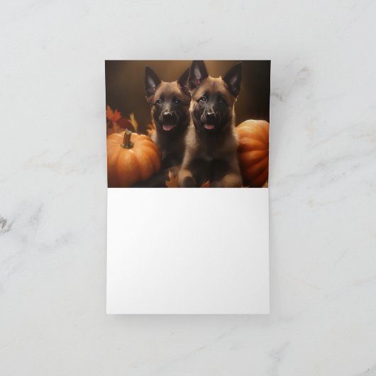 Belgische Herder Puppy Herfst Delight Pompoen Kaart (Binnen)