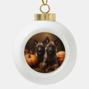 Belgische Herderspup Herfstvreugde Pompoen Keramische Bal Ornament