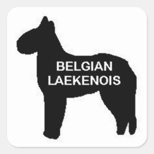 Belgische Lakenois naam Silo Vierkante Sticker
