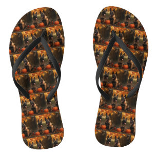 Belgische Malinoi Puppy Herfst Delight Pompoen Teenslippers