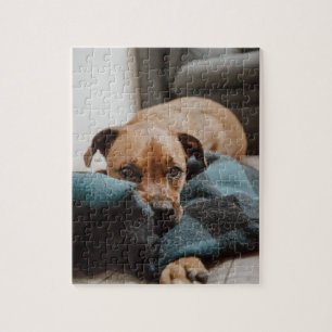 Belgische Malinois Boxer   Puppy op banketfoto Legpuzzel