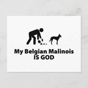 Belgische Malinois Briefkaart