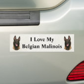 belgische malinois bumpersticker (Op auto)