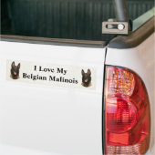belgische malinois bumpersticker (Op Truck)