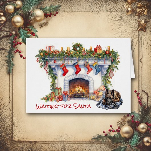 Belgische Malinois Hond Wachten op de Kerstman