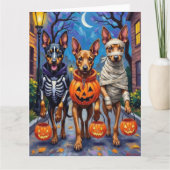 Belgische Malinois-honden gaan langs de deuren met Kaart (Voorkant)