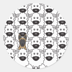Belgische Malinois in de schapen Ronde Sticker