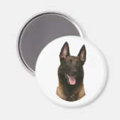 belgische malinois magneet (Voorkant / Achterkant)