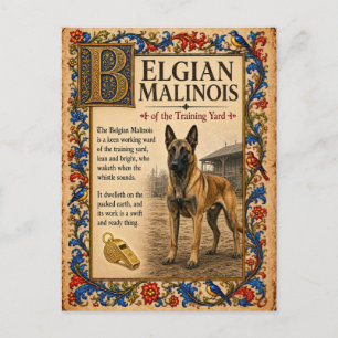Belgische Malinois, Middeleeuwse Bestiarium Kunst Briefkaart