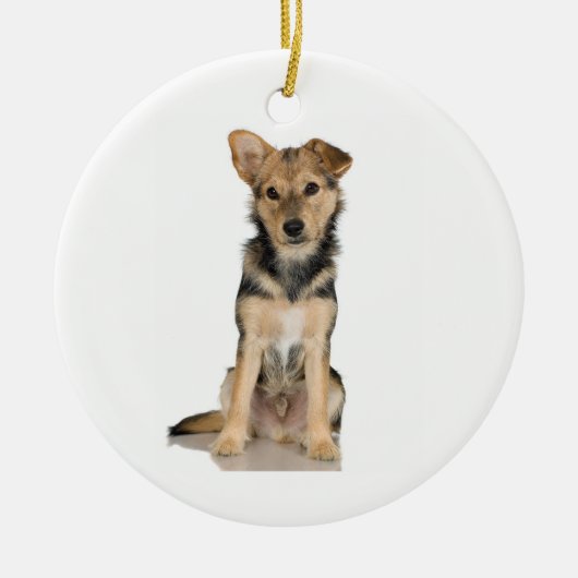 Belgische Malinois Ornament (Voorkant)