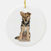 Belgische Malinois Ornament (Achterkant)