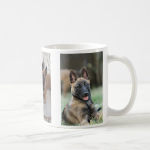 Belgische Malinois Puppy Mok