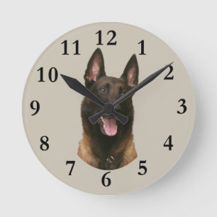belgische malinois ronde klok