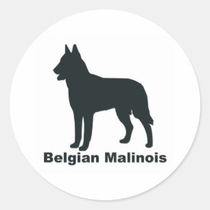 Belgische Malinois Ronde Sticker