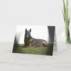 Belgische Malinois-sympathikaart Kaart