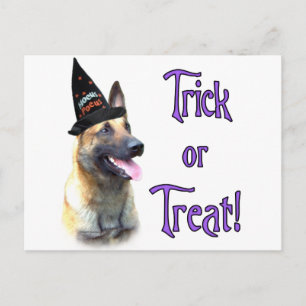 Belgische Malinois Trick Briefkaart