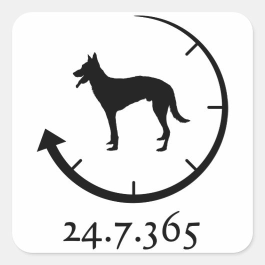 Belgische Malinois Vierkante Sticker (Voorkant)