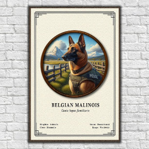 Belgische Malinois Zoologie Serie Poster