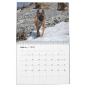 Belgische Malinoiskalender Kalender (Feb 2026)