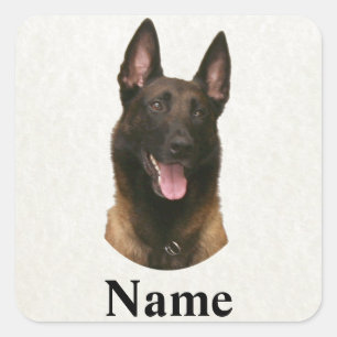 Belgische Malinoisnaam Vierkante Sticker