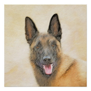 Belgische Malinoisschildering - Kute Original Dog  Perfect Poster