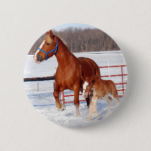 Belgische Mare en Filly Ronde Button 5,7 Cm