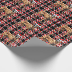 Belgische Mechelse Hond en Rode Plaid Kerstmis Cadeaupapier