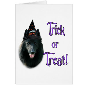 Belgische schapenhond truc