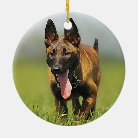 Belgische Shepherd Dog Keramisch Ornament (Achterkant)