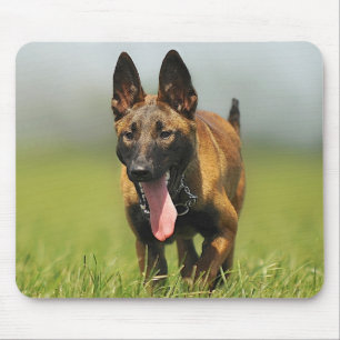 Belgische Shepherd Dog Muismat