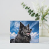 Belgische Shepherd Groenendael Briefkaart (Staand voorkant)