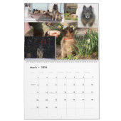 Belgische Shepherd Tervuren kalender (Mar 2026)