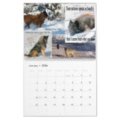 Belgische Shepherd Tervuren kalender (Jan 2026)