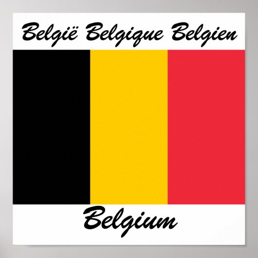 Belgische taalvlag poster (Voorkant)