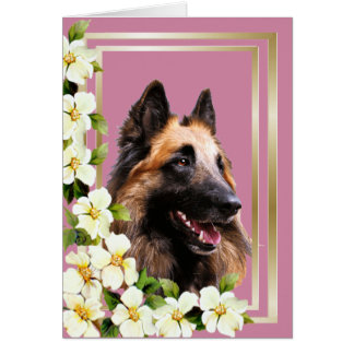 Belgische Tervuren Dogwood & Gold Framed Blank Car