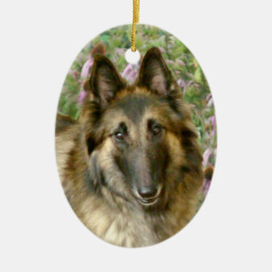 Belgische Tervuren Keramisch Ornament