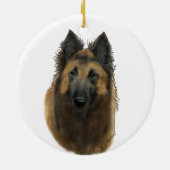 Belgische Tervuren Keramisch Ornament (Achterkant)