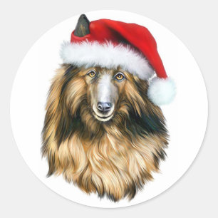 Belgische Tervuren Kerstkerstkerstkerstkerstkerstm Ronde Sticker