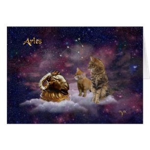 Béliers pour Amoureux de les chats