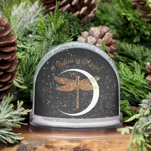 Believe in Magic! (Hiver)