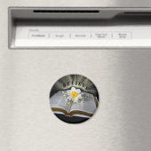 Believe Magneet (Insitu (Vaatwasser))