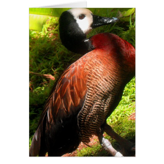 Believe_naal (Voorkant)