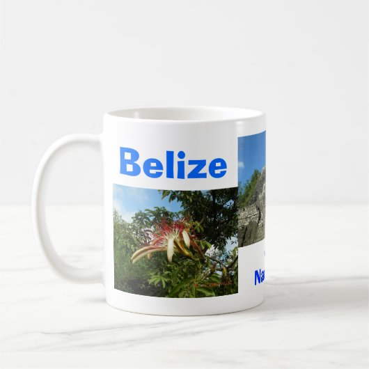 Belize Adventure Koffiemok (Links)