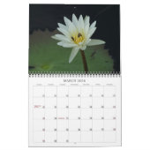 Belize agenda 2009 kalender (Mar 2026)