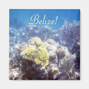 Belize ! Aimant de récif coralien
