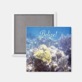 Belize ! Aimant de récif de corail (Recto/Verso)
