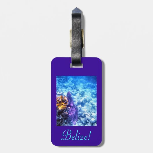 Belize Bagagelabel (Achterkant verticaal)