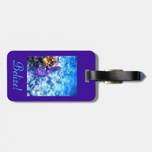 Belize Bagagelabel (Achterkant horizontaal)